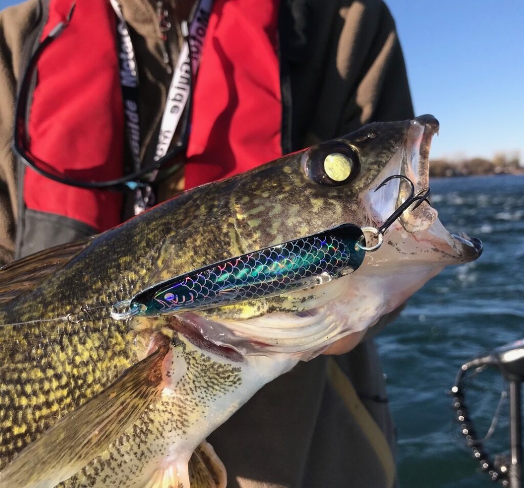 Utiliser des trucs de pro pour attraper du poisson